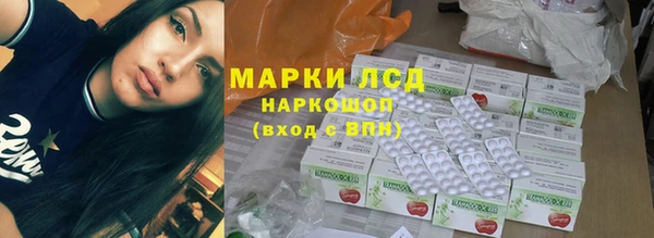 гидра Алексин
