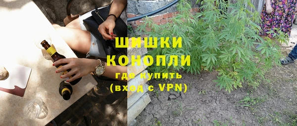 гидра Алексин