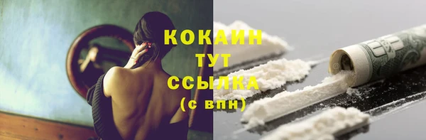 прущие грибы Алексеевка