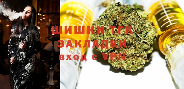 гидра Алексин