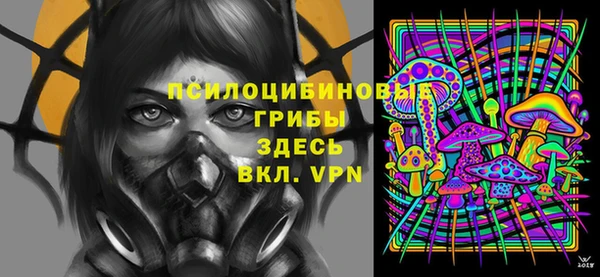 прущие грибы Алексеевка