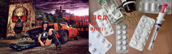 гидра Алексин