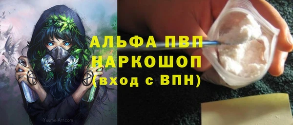 гидра Алексин