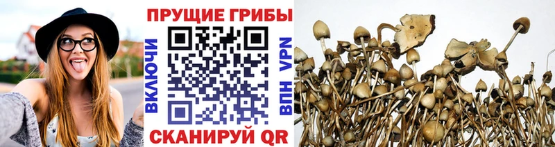 Галлюциногенные грибы мицелий  купить наркотики цена  Берёзовский 